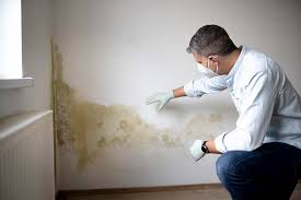 Best Air Quality Testing for Mold Spores in La Crescent, MN